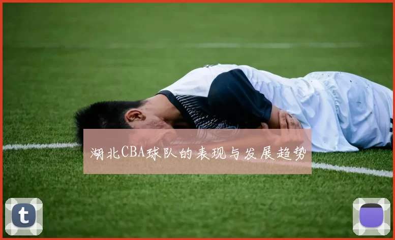 湖北CBA球队的表现与发展趋势