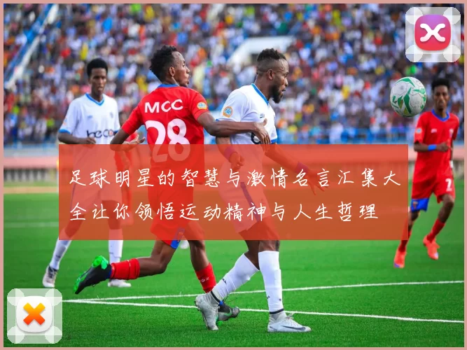 足球明星的智慧与激情名言汇集大全让你领悟运动精神与人生哲理
