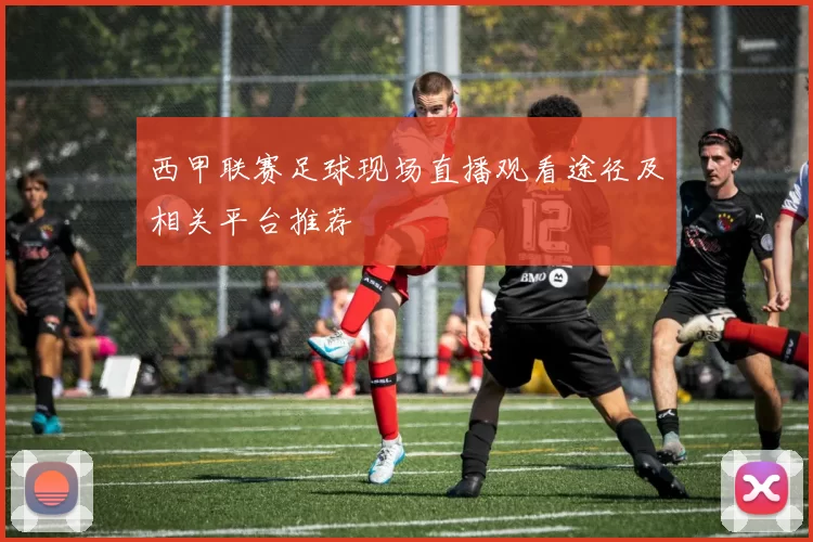 西甲联赛足球现场直播观看途径及相关平台推荐