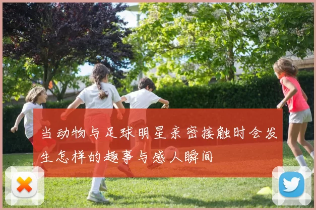 当动物与足球明星亲密接触时会发生怎样的趣事与感人瞬间