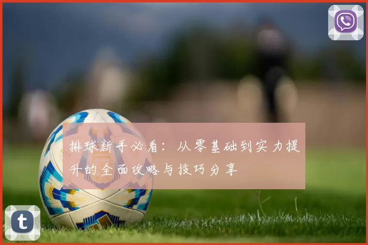 排球新手必看：从零基础到实力提升的全面攻略与技巧分享