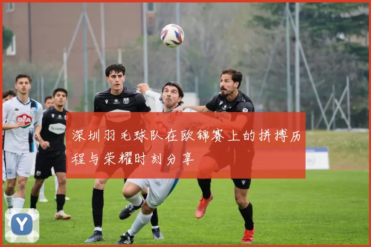 深圳羽毛球队在欧锦赛上的拼搏历程与荣耀时刻分享