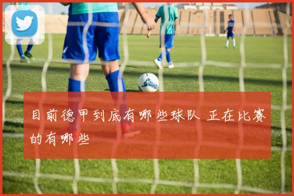 目前德甲到底有哪些球队 正在比赛的有哪些