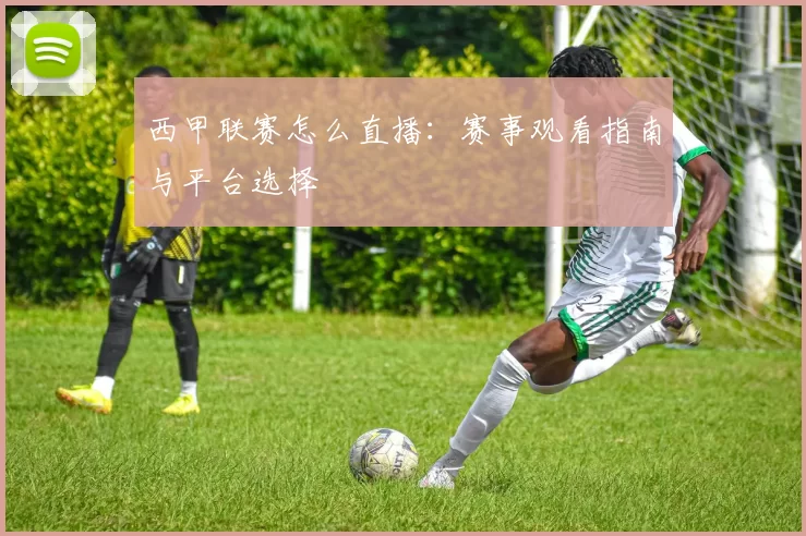 西甲联赛怎么直播：赛事观看指南与平台选择