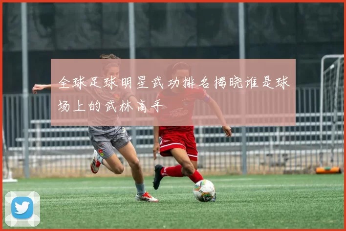 全球足球明星武功排名揭晓谁是球场上的武林高手
