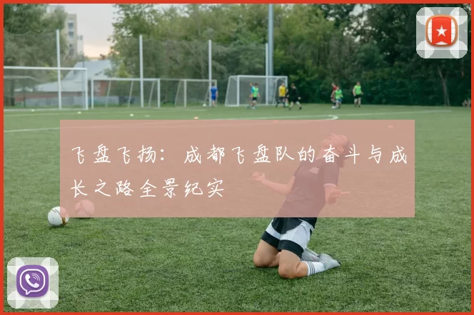 飞盘飞扬：成都飞盘队的奋斗与成长之路全景纪实