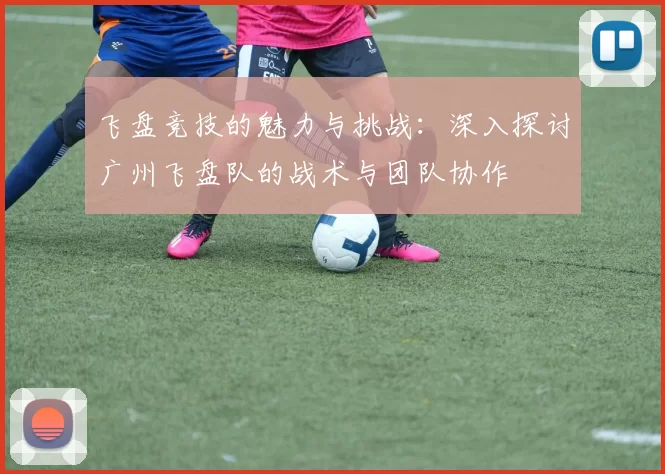 飞盘竞技的魅力与挑战：深入探讨广州飞盘队的战术与团队协作