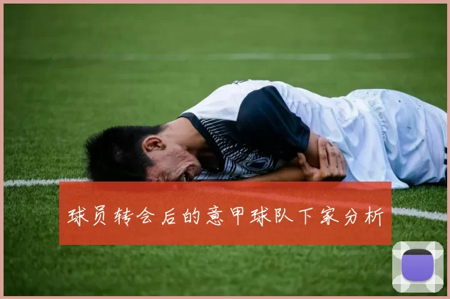 球员转会后的意甲球队下家分析