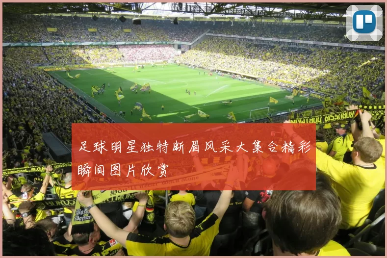足球明星独特断眉风采大集合精彩瞬间图片欣赏