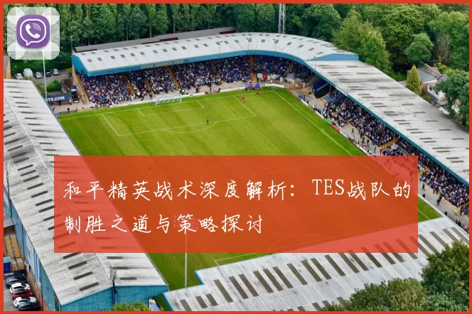 和平精英战术深度解析：TES战队的制胜之道与策略探讨